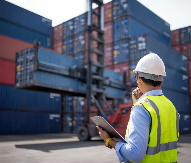 Manifest verification